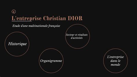 finalité de l'entreprise dior